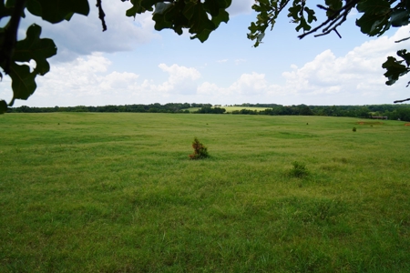 No Reserve Land Auction 154 Acres +/-, Perkins, OK, Sept 22 - image 6