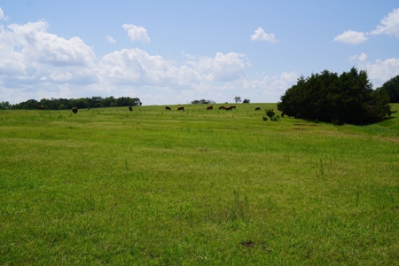 No Reserve Land Auction 154 Acres +/-, Perkins, OK, Sept 22 - image 23