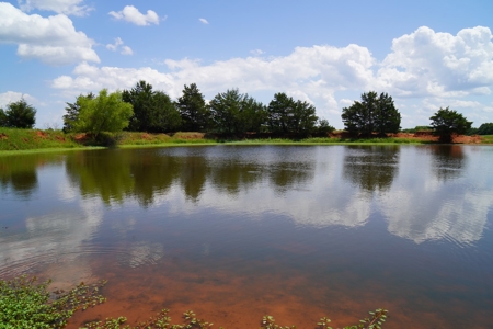 No Reserve Land Auction 154 Acres +/-, Perkins, OK, Sept 22 - image 33