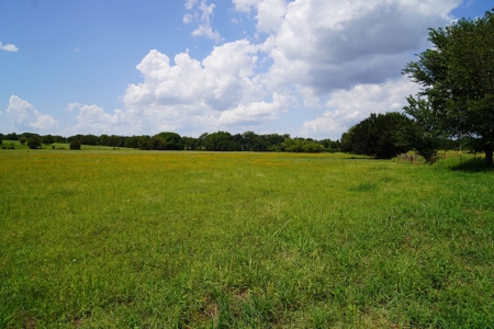 No Reserve Land Auction 154 Acres +/-, Perkins, OK, Sept 22 - image 17