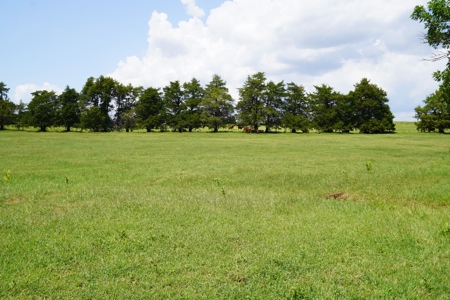 No Reserve Land Auction 154 Acres +/-, Perkins, OK, Sept 22 - image 22