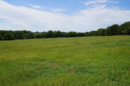 No Reserve Land Auction 154 Acres +/-, Perkins, OK, Sept 22 - image 1