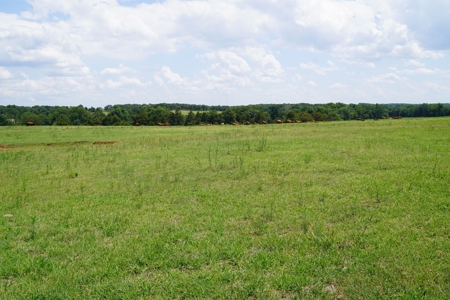 No Reserve Land Auction 154 Acres +/-, Perkins, OK, Sept 22 - image 32