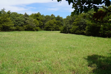 No Reserve Land Auction 154 Acres +/-, Perkins, OK, Sept 22 - image 29