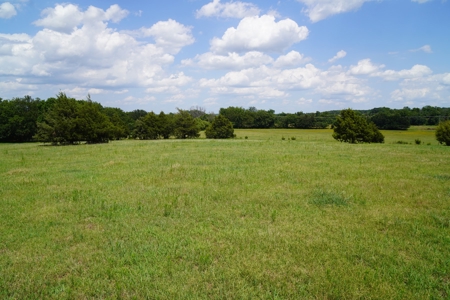 No Reserve Land Auction 154 Acres +/-, Perkins, OK, Sept 22 - image 19