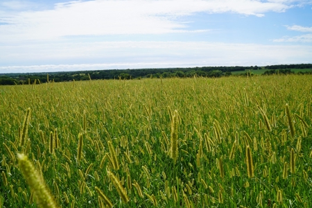 No Reserve Land Auction 154 Acres +/-, Perkins, OK, Sept 22 - image 28