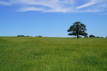 No Reserve Land Auction 154 Acres +/-, Perkins, OK, Sept 22 - image 30