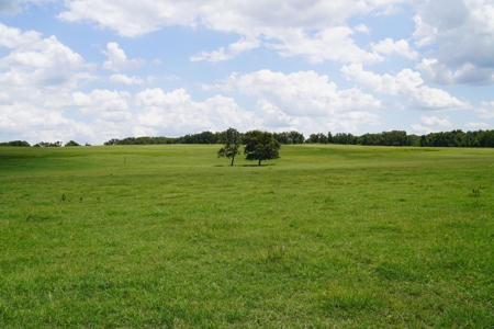 No Reserve Land Auction 154 Acres +/-, Perkins, OK, Sept 22 - image 13