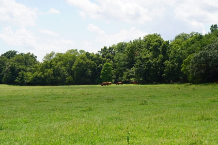 No Reserve Land Auction 154 Acres +/-, Perkins, OK, Sept 22 - image 42