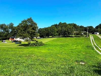 Building Lot For Sale In Rural Retreat VA - image 2