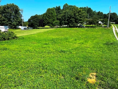 Building Lot For Sale In Rural Retreat VA - image 7