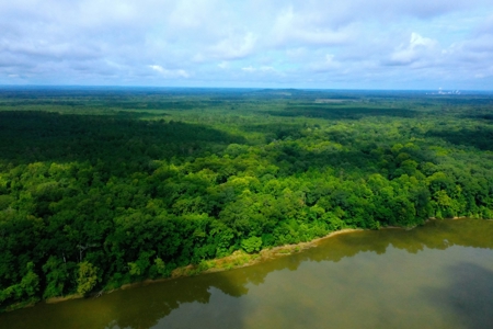 Large Hunting Land for Sale in Pine Hill, Alabama - image 7