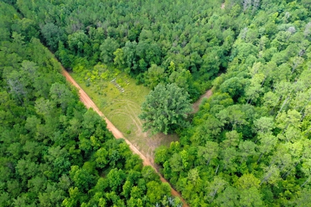 Large Hunting Land for Sale in Pine Hill, Alabama - image 9
