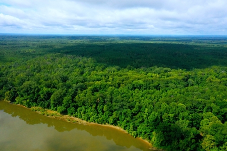 Large Hunting Land for Sale in Pine Hill, Alabama - image 6