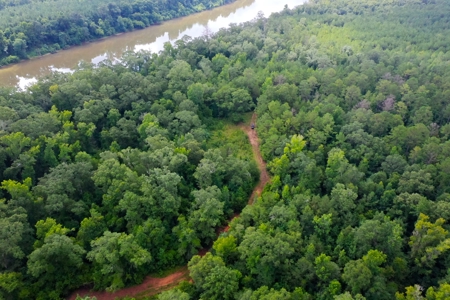 Large Hunting Land for Sale in Pine Hill, Alabama - image 8