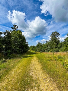 Ozark Hunting Ranch in South Central Missouri - image 39