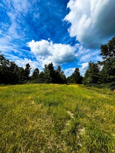 Ozark Hunting Ranch in South Central Missouri - image 40