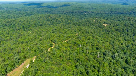 Ozark Hunting Ranch in South Central Missouri - image 19