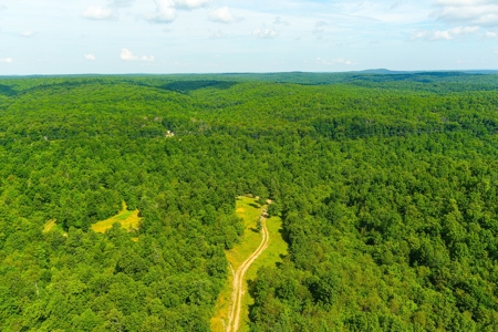 Ozark Hunting Ranch in South Central Missouri - image 7