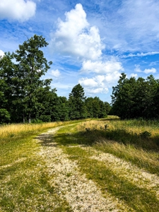 Ozark Hunting Ranch in South Central Missouri - image 41