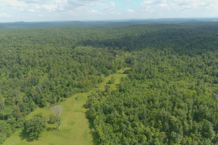 Ozark Hunting Ranch in South Central Missouri - image 4