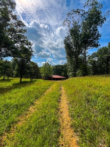 Ozark Hunting Ranch in South Central Missouri - image 36