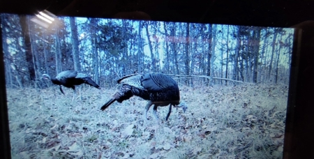 Ozark Hunting Ranch in South Central Missouri - image 50