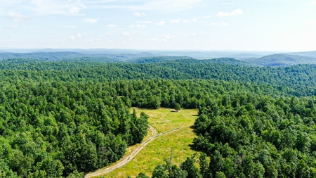 Ozark Hunting Ranch in South Central Missouri - image 1