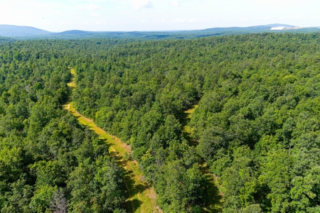 Ozark Hunting Ranch in South Central Missouri - image 26