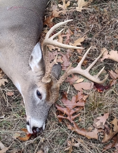 Ozark Hunting Ranch in South Central Missouri - image 46