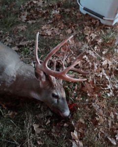 Ozark Hunting Ranch in South Central Missouri - image 45