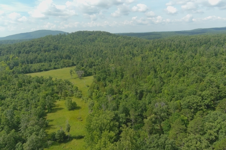 Ozark Hunting Ranch in South Central Missouri - image 2