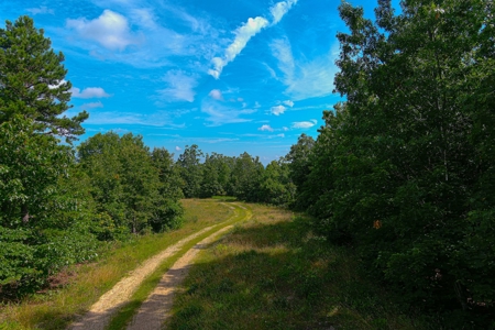 Ozark Hunting Ranch in South Central Missouri - image 23