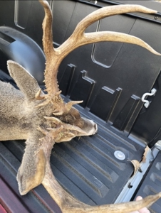 Ozark Hunting Ranch in South Central Missouri - image 50