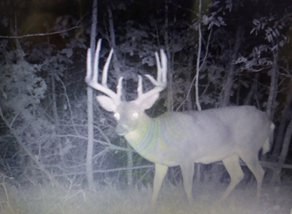 Ozark Hunting Ranch in South Central Missouri - image 43