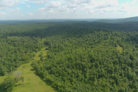 Ozark Hunting Ranch in South Central Missouri - image 3