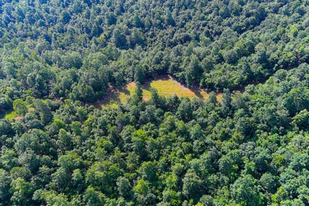 Ozark Hunting Ranch in South Central Missouri - image 17