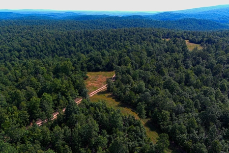 Ozark Hunting Ranch in South Central Missouri - image 14