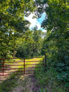 Ozark Hunting Ranch in South Central Missouri - image 42