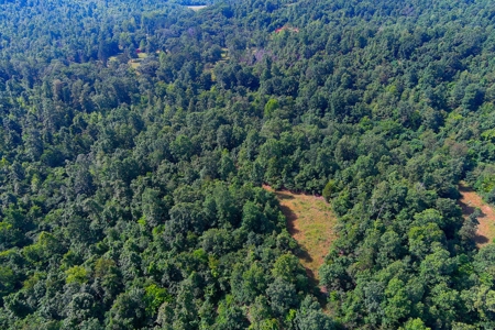 Ozark Hunting Ranch in South Central Missouri - image 13