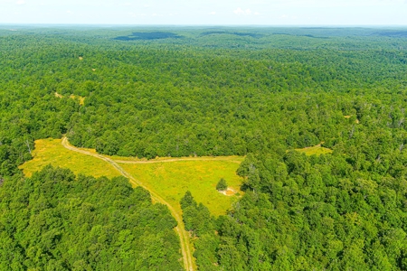 Ozark Hunting Ranch in South Central Missouri - image 11