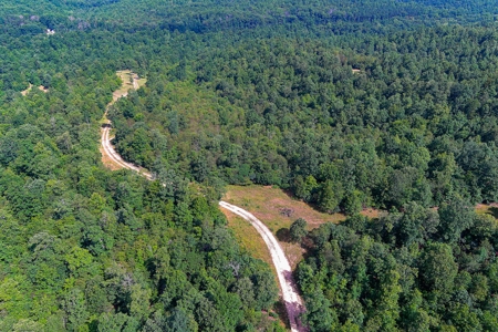 Ozark Hunting Ranch in South Central Missouri - image 8