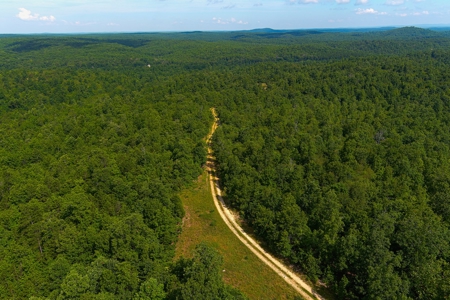 Ozark Hunting Ranch in South Central Missouri - image 9