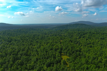 Ozark Hunting Ranch in South Central Missouri - image 12