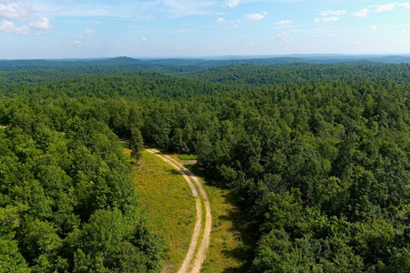 Ozark Hunting Ranch in South Central Missouri - image 24