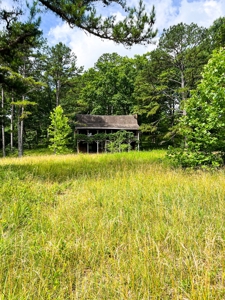 Ozark Hunting Ranch in South Central Missouri - image 29