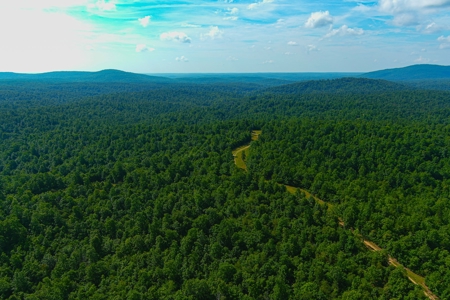 Ozark Hunting Ranch in South Central Missouri - image 18