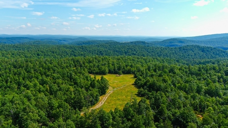 Ozark Hunting Ranch in South Central Missouri - image 15