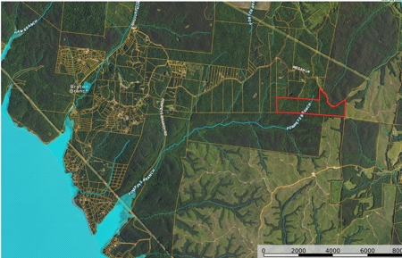 Hunting Land For Sale In Tn With Hardwood Timber - image 48