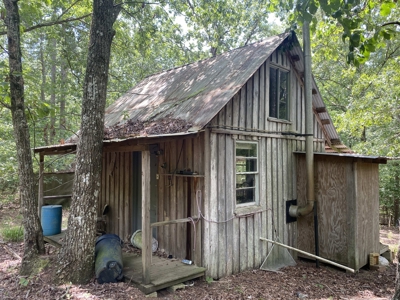 Hunting Land For Sale In Tn With Hardwood Timber - image 19